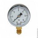 Манометр BSR 6 бар, ⌀¼", ⌀50, радиальный