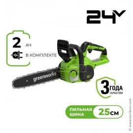 Пила цепная аккумуляторная, 24 В, 25 см, c 1хАКБ 2Ач и ЗУ