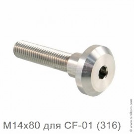 Винт M14x80 для CF-01 (316)